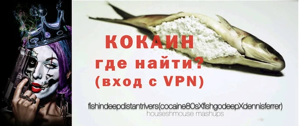 мдпв Богданович