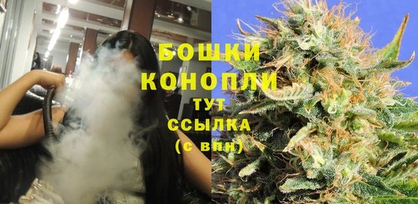 мдпв Богданович