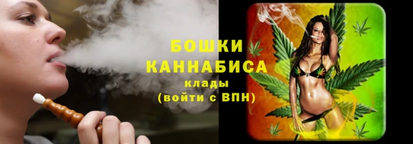 гашик Богородск