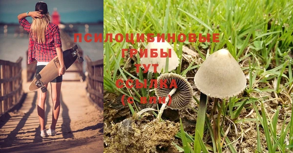метадон Богородицк