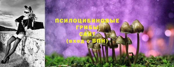 спайс Беломорск