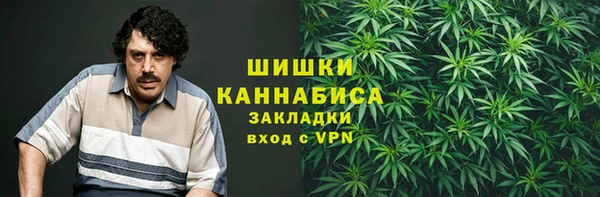 твердый Протвино