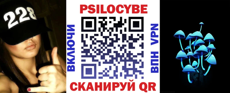Галлюциногенные грибы Cubensis  где найти   Клин 